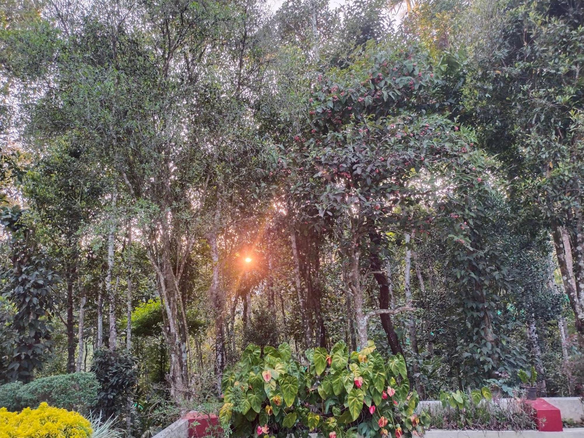 Philip Mary Farm Stay Thekkady Exterior foto