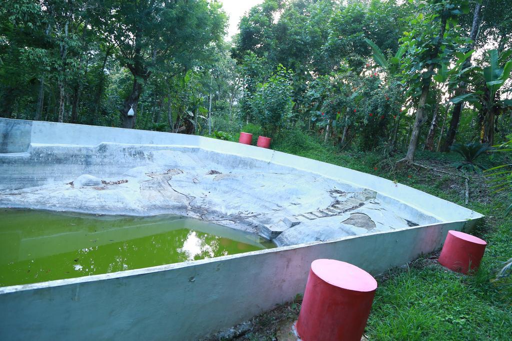 Philip Mary Farm Stay Thekkady Exterior foto