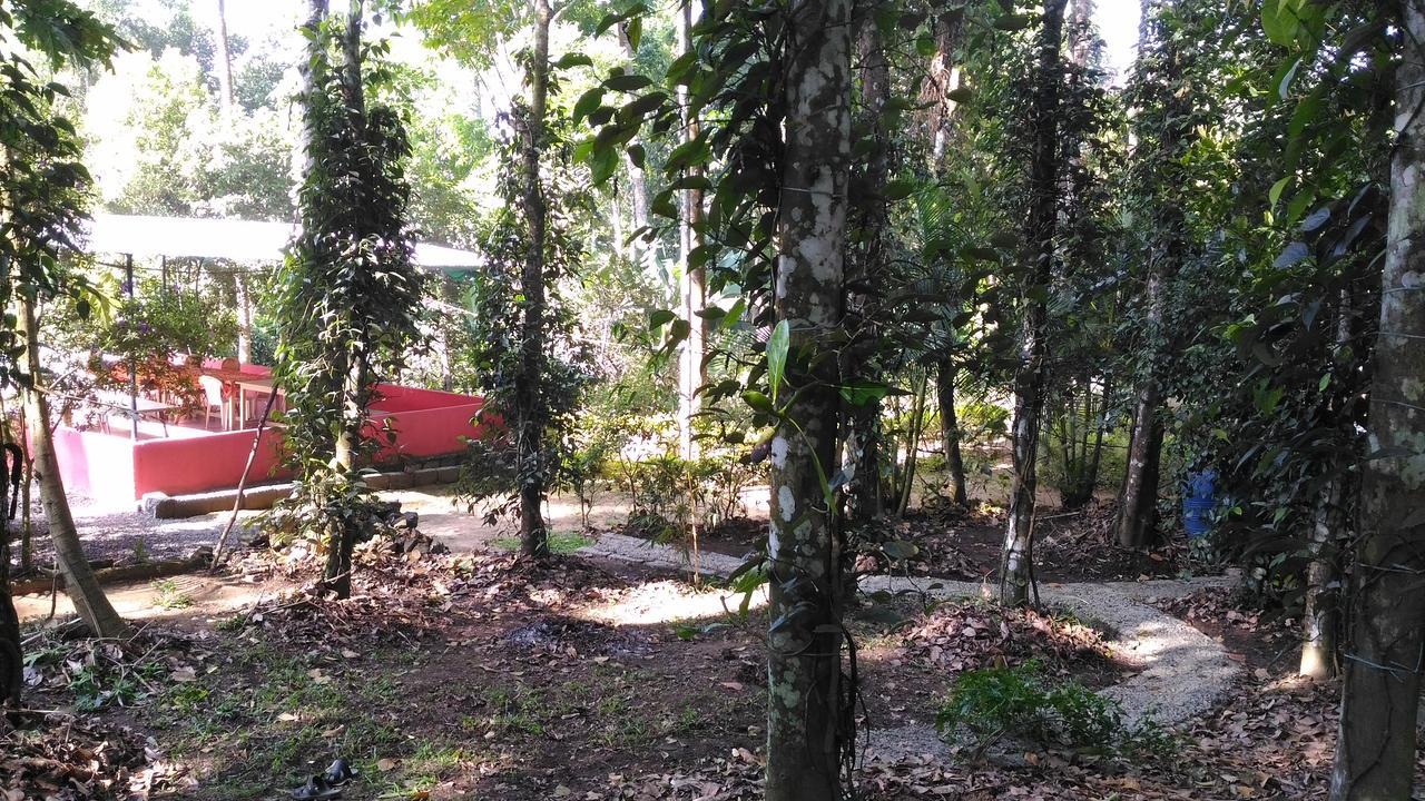 Philip Mary Farm Stay Thekkady Exterior foto