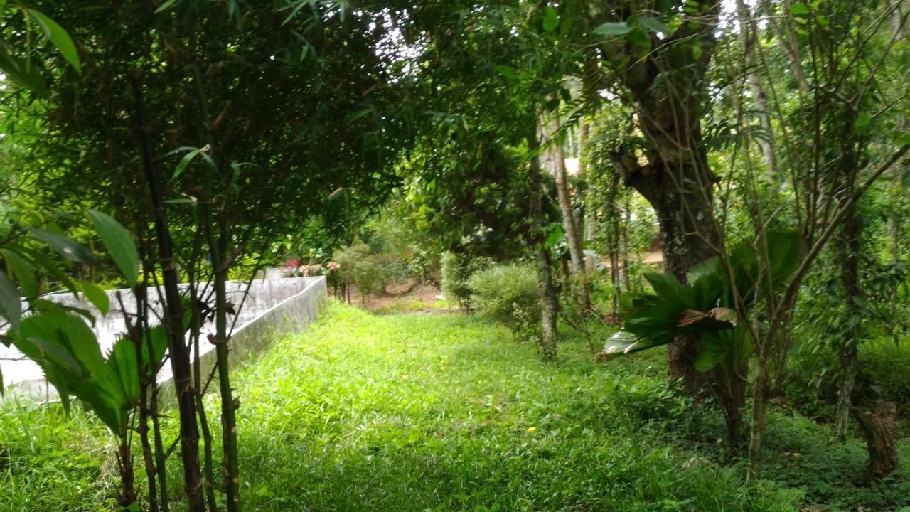 Philip Mary Farm Stay Thekkady Exterior foto
