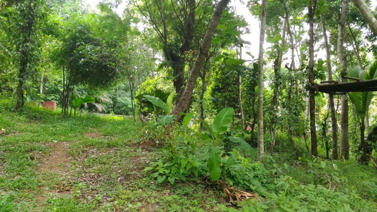 Philip Mary Farm Stay Thekkady Exterior foto