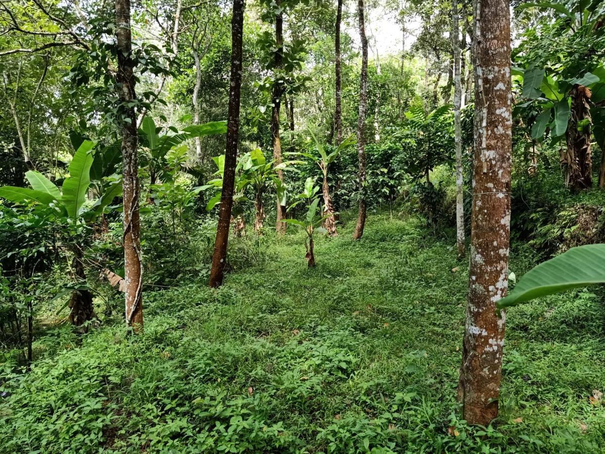 Philip Mary Farm Stay Thekkady Exterior foto